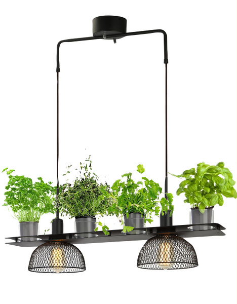 Timjan taklampe svart, BESTILLINGSVARE